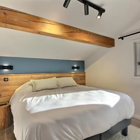 Topaz - 18 Couchages Sur Les Pistes Avec Services 拉普拉涅