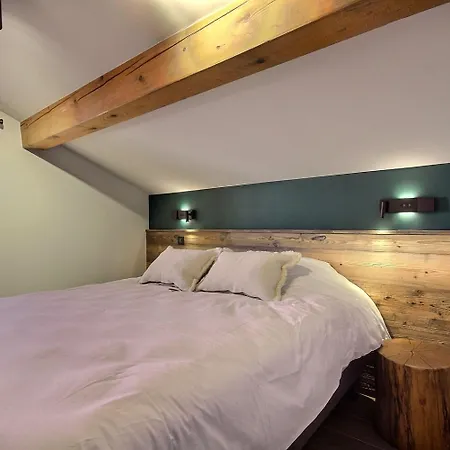 Topaz - 18 Couchages Sur Les Pistes Avec Services